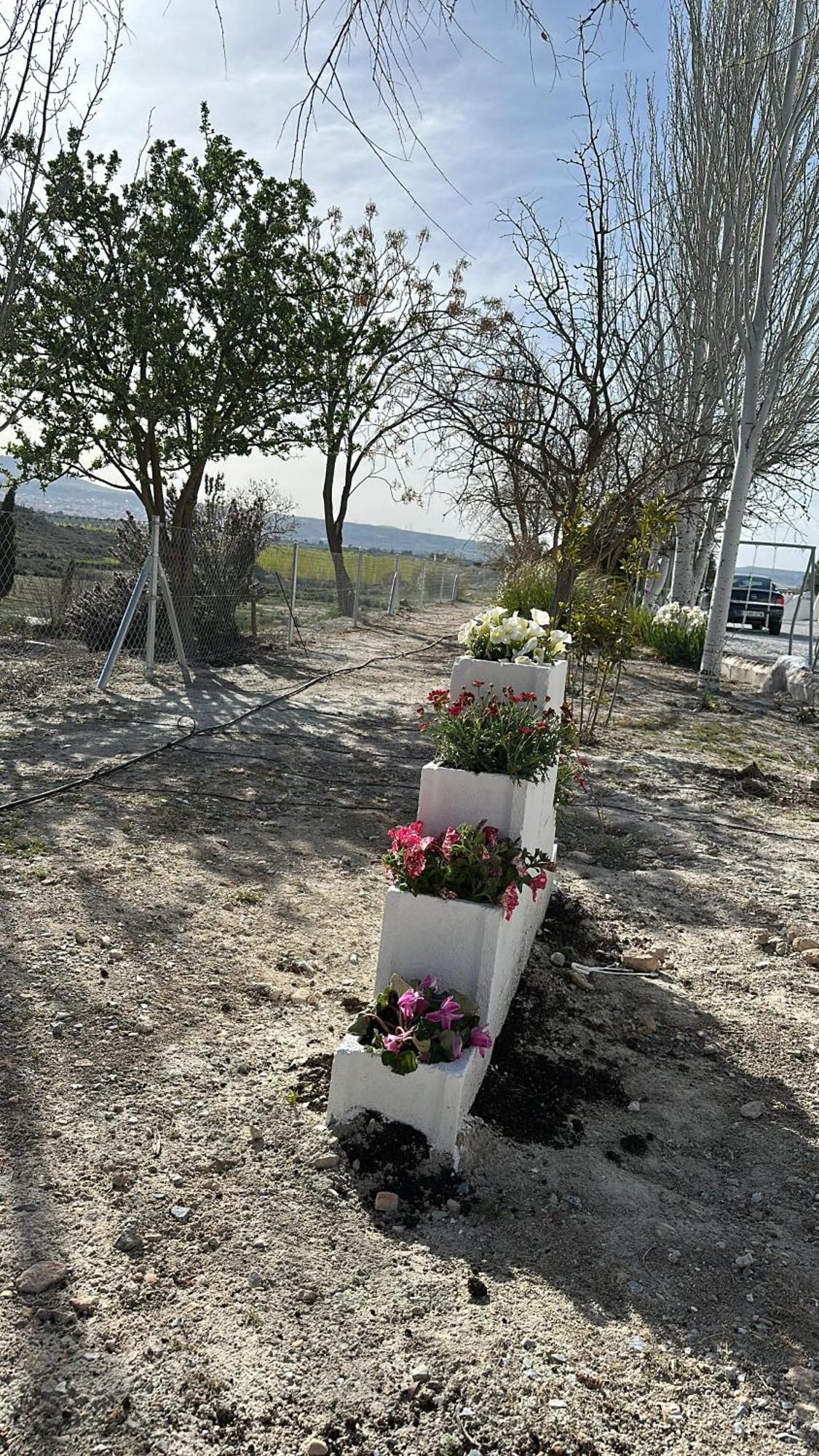 Alojamientos Cuevas Tiana El Aljibete Εξωτερικό φωτογραφία