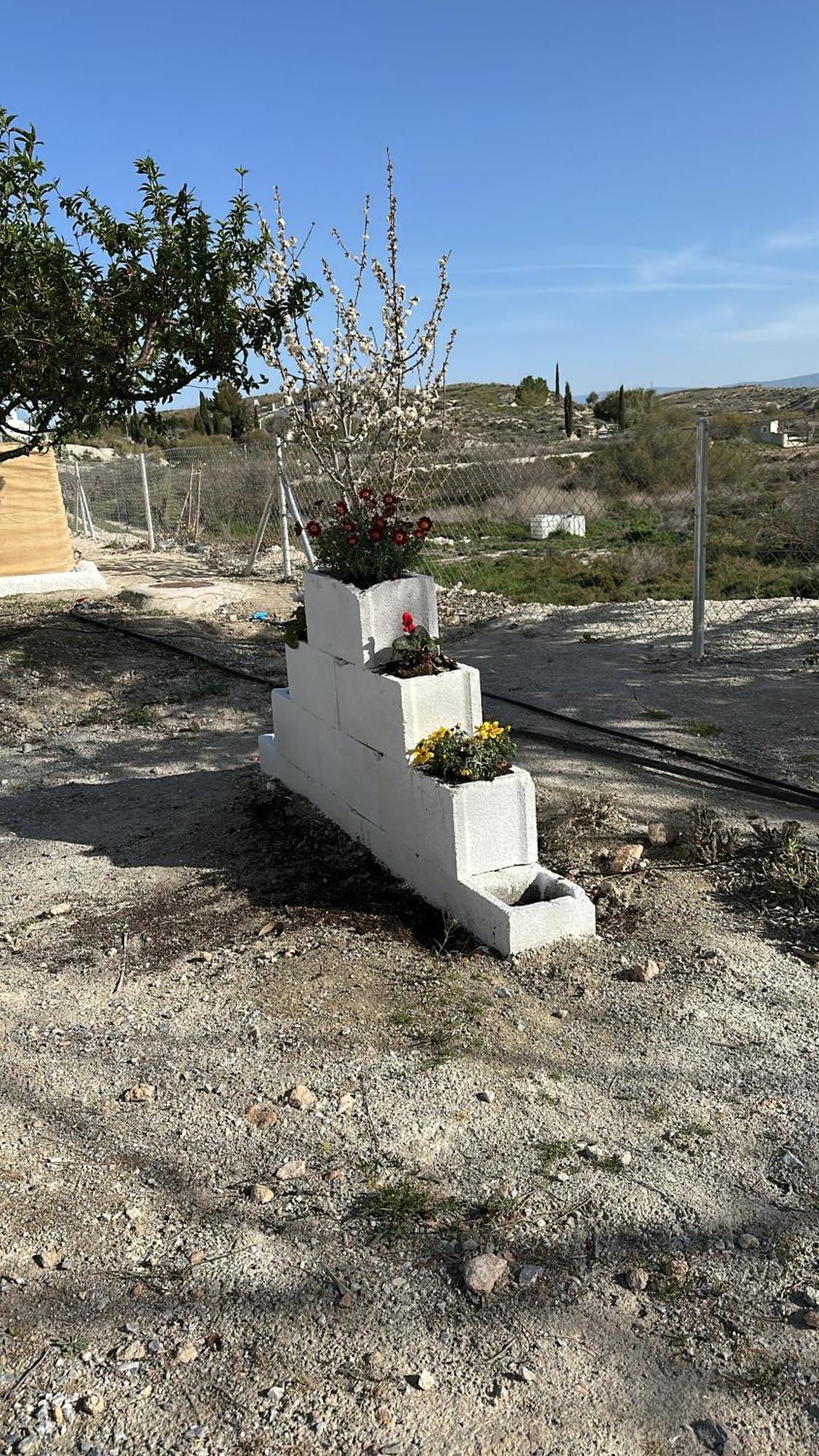 Alojamientos Cuevas Tiana El Aljibete Εξωτερικό φωτογραφία